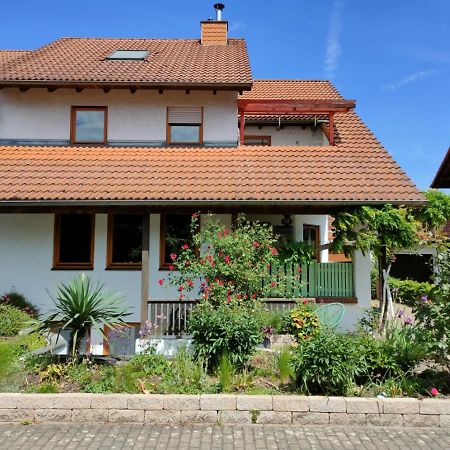 Soutterain - Wohnung Mit Senkgarten Weingarten  Exteriör bild